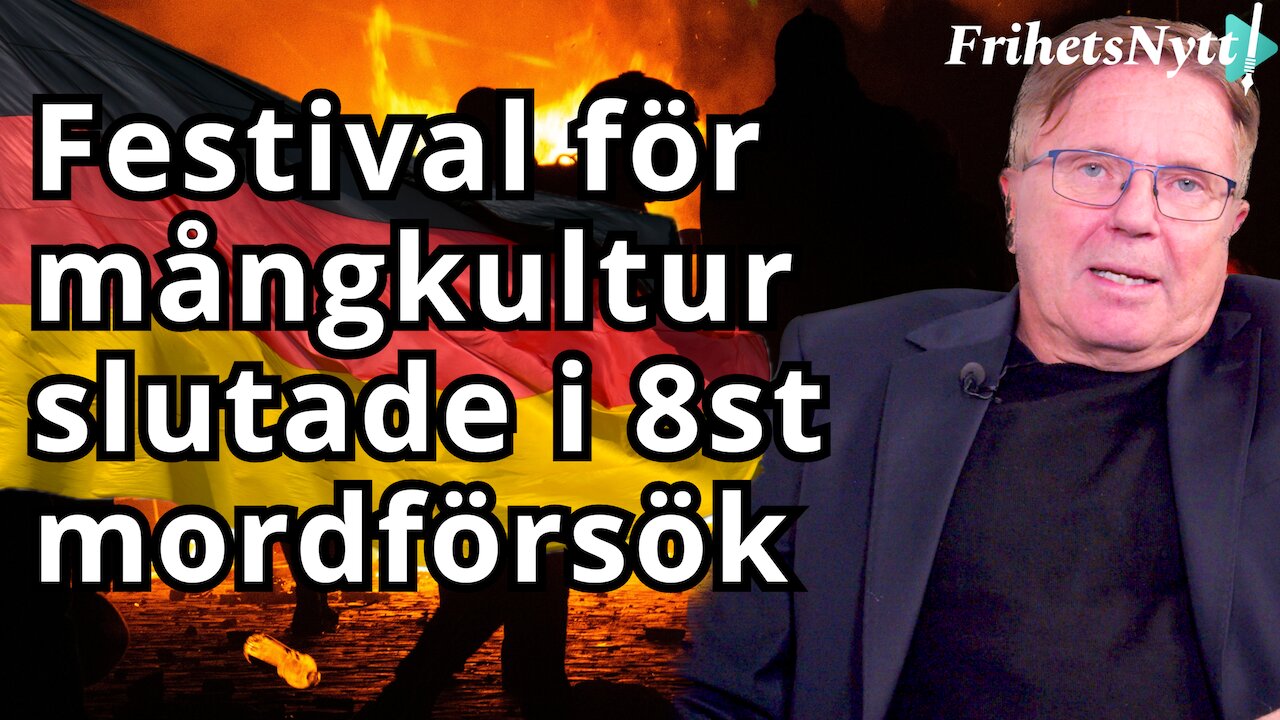 Illegal invandrare knivhugger flera under "mångkulturell" festival i Tyskland