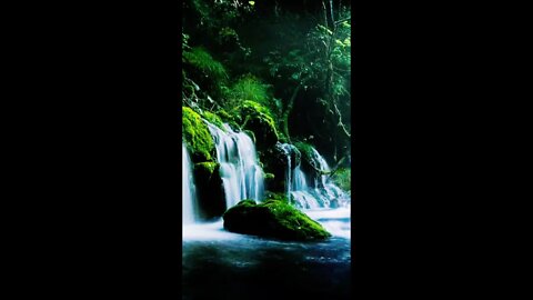 Water Sounds with Relaxing Piano Music • Link Below