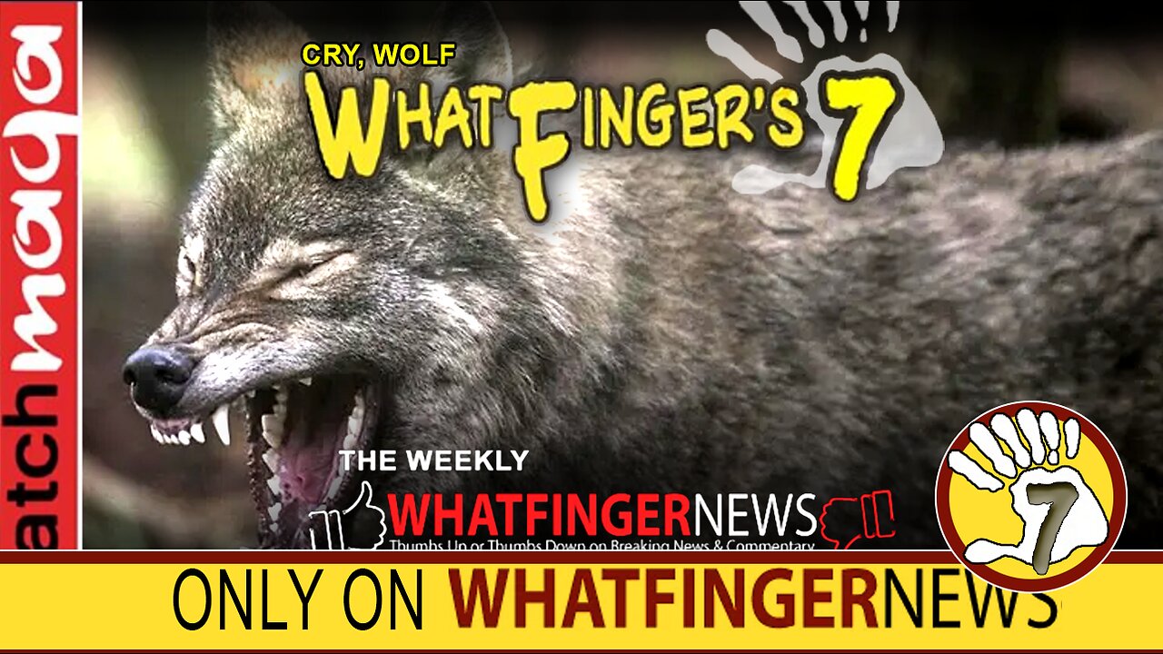 CRY, WOLF: Whatfinger's 7