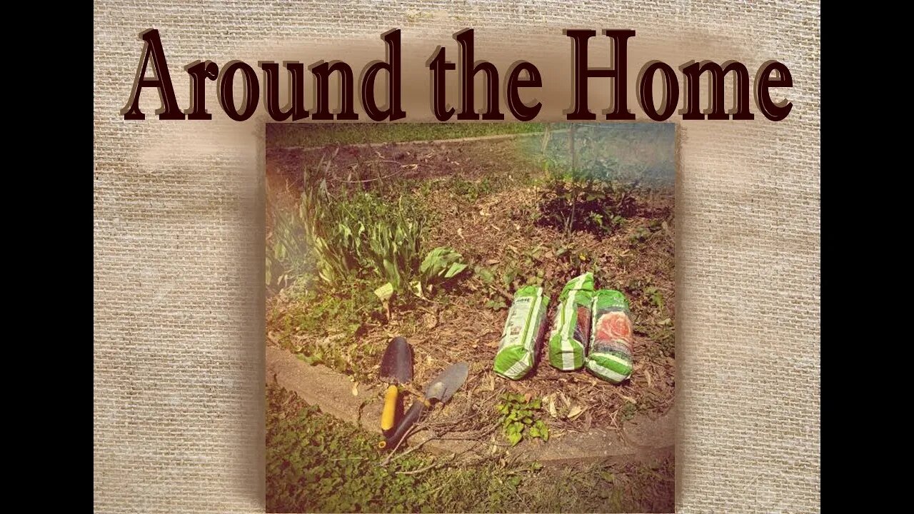 Around the Home - Gardening, getting roses and tomatoes planted