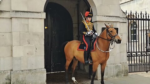 King's Troop shows good control over impatient horse #horseguardsparade