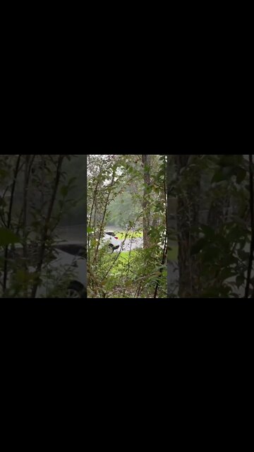 HURRICANE IAN Approaching Charleston, SC