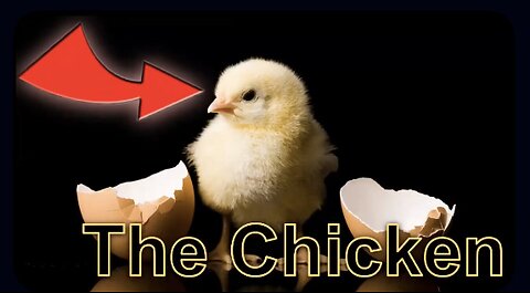 What came first, The CHICKEN or the EGG