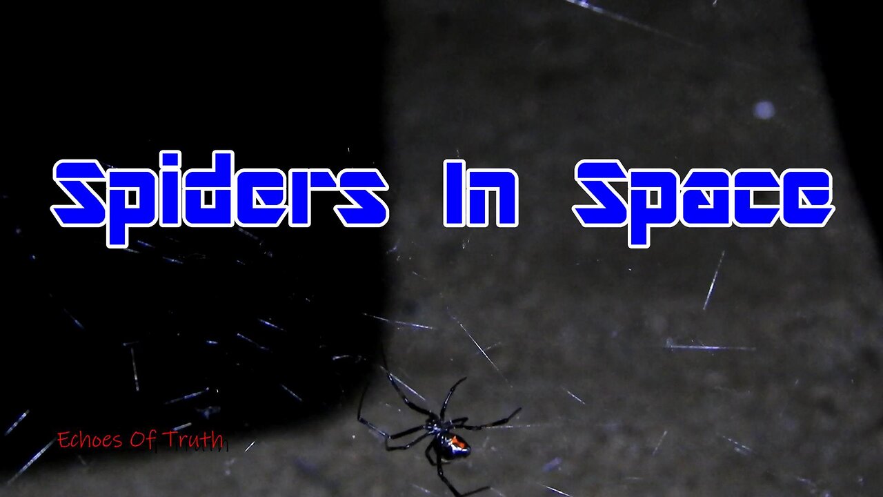 Black Widow Spiders - IN OUTER SPACE!!