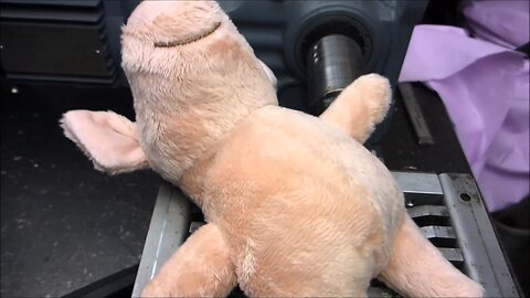 Shredding pig plush toy