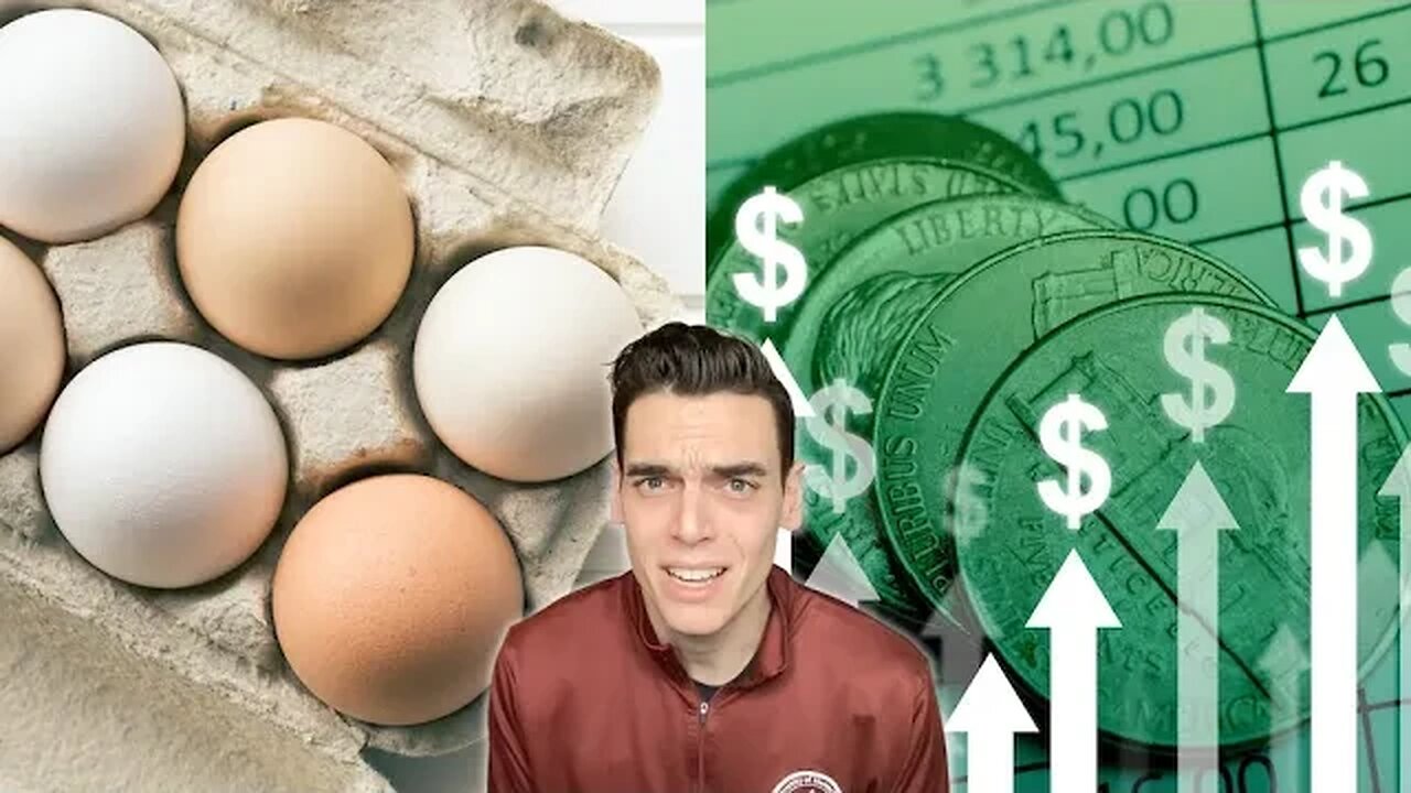 Why are egg prices SO high?! (explained)