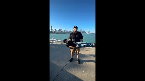 Chicago Workout