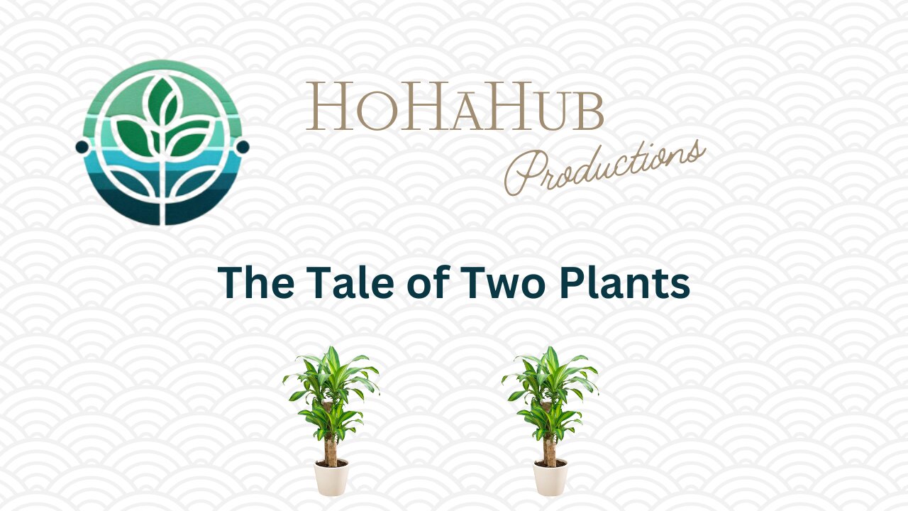 HoHaHub Productions: The Tale of Two Plants