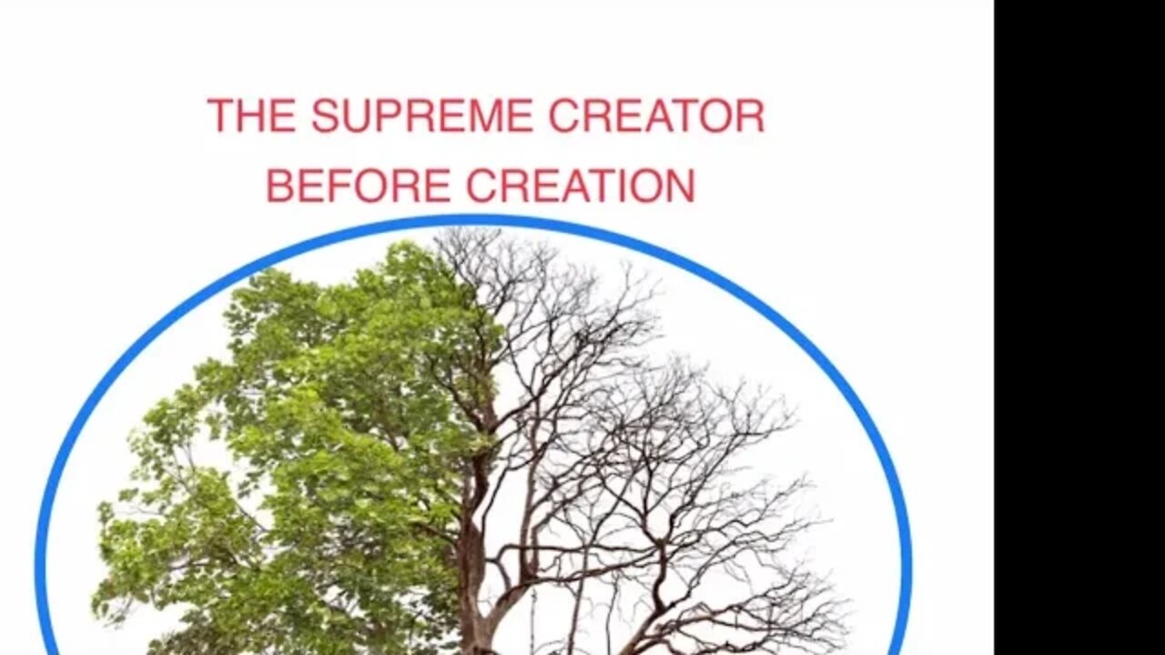 TREE OF LIFE from THE SUPREME CREATOR …THIS is ONLY MY INTERPRETATION ⬇️READ ⬇️