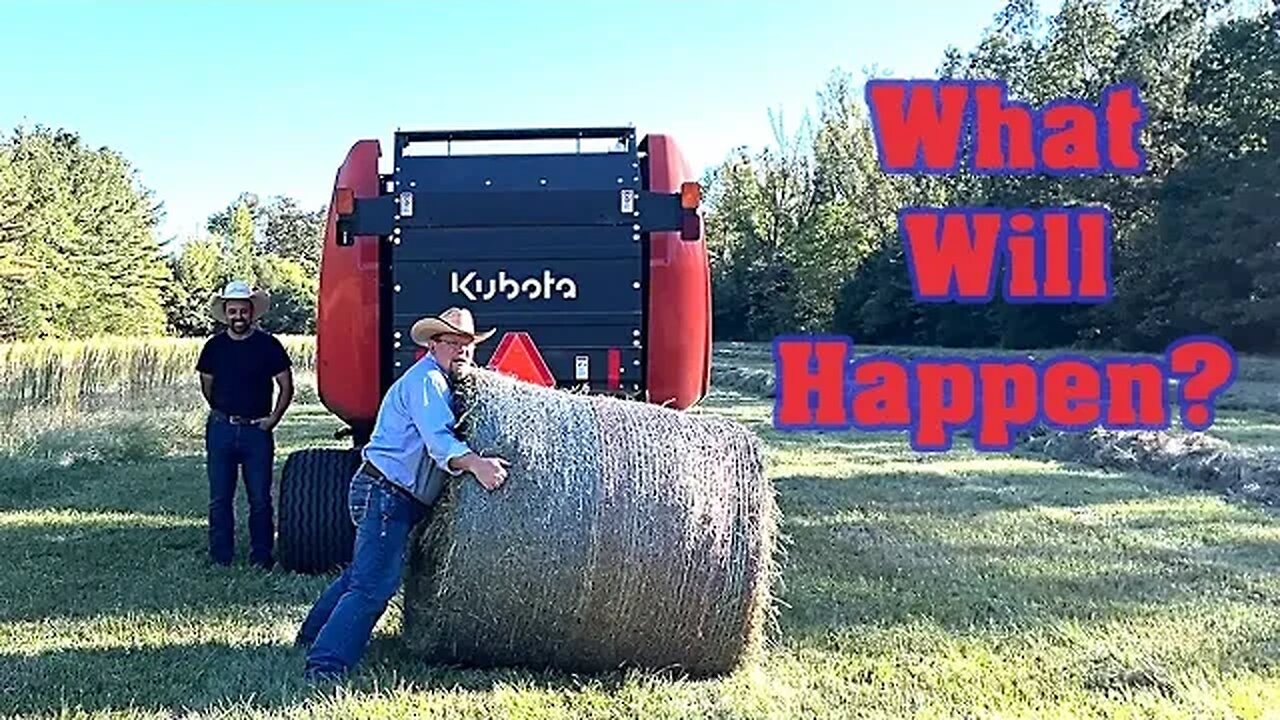 Pasture Experiment! Cutting Hay vs BURNING The Field. Improving Soil & Pasture Quality