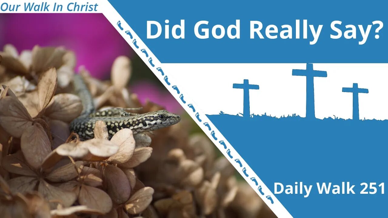 Has God Really Said? | Daily Walk 151