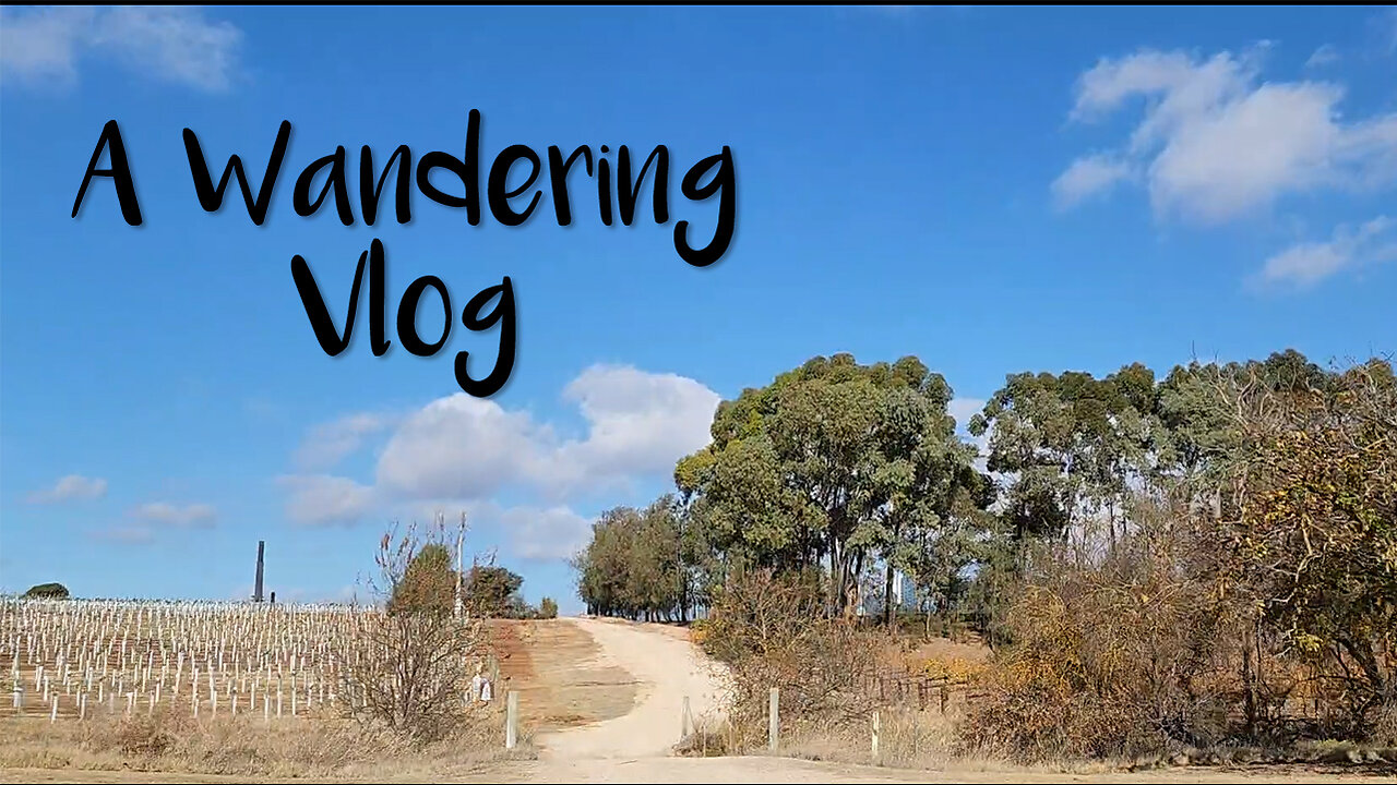 Wandering & Barossa Valley Farmer's Market Gratitude Vlog