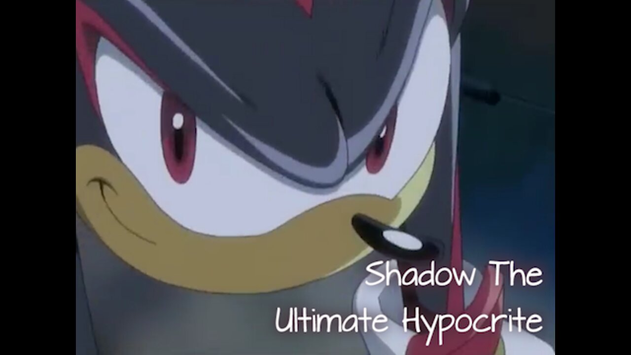Shadow The Ultimate Hypocrite - LiseMiniParody