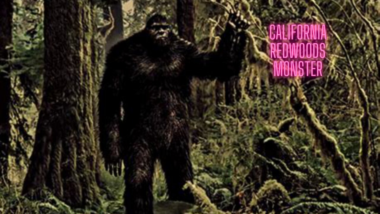 La calamité des séquoias de Californie – J'ai vu un Bigfoot (FRANÇAIS)