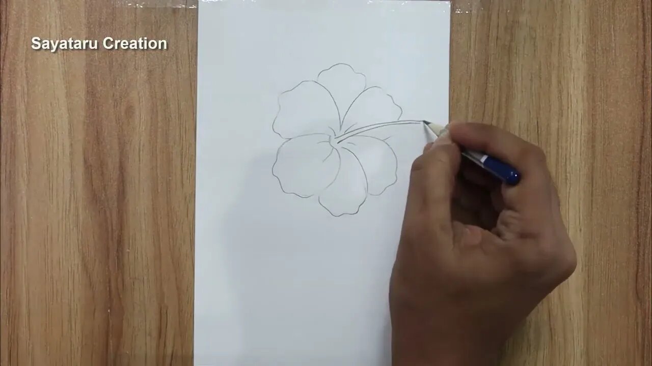 How to draw a hibiscus flower step by step pencil sketch