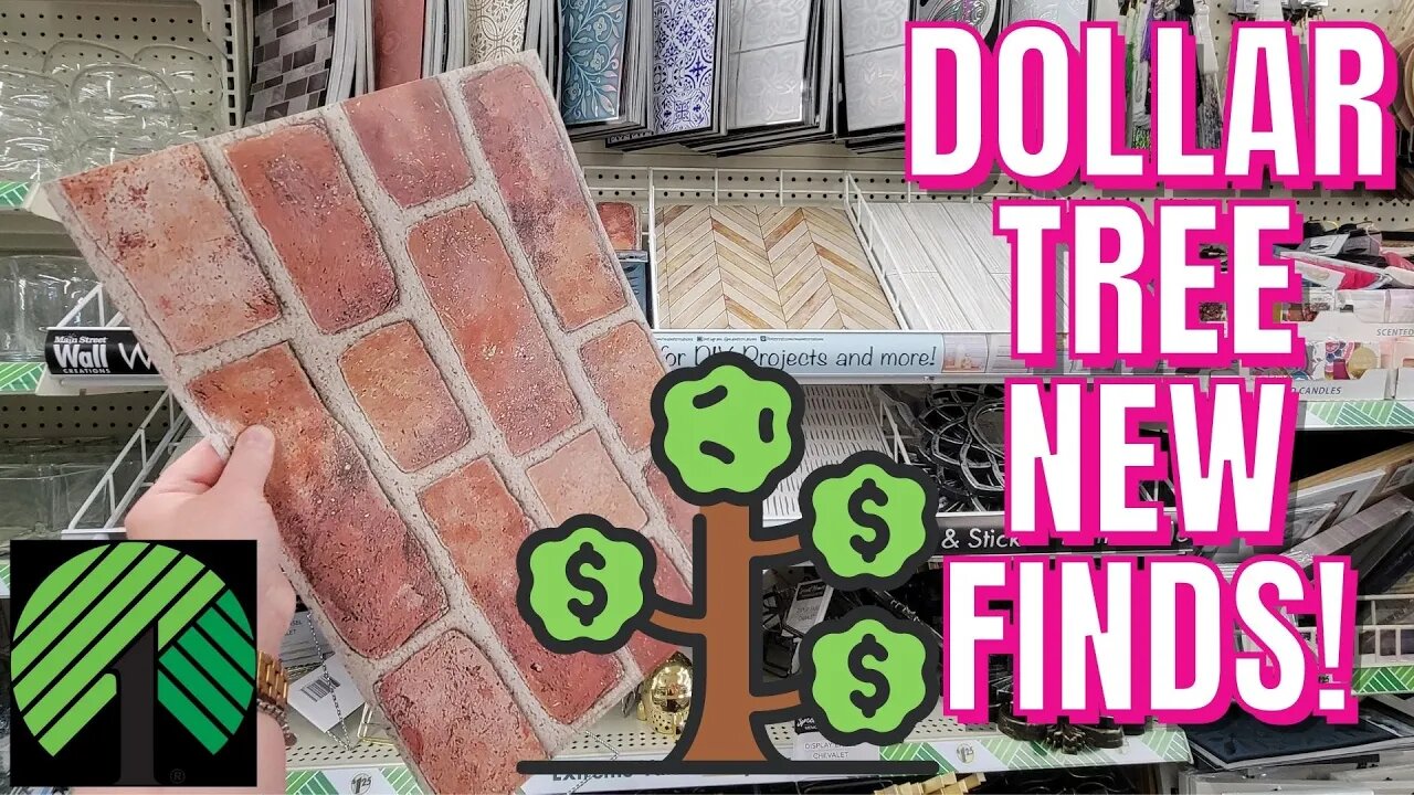 NEW FINDS! | DOLLAR TREE STORE WALK THRU! | ELK GROVE, CA | #dollartree #dt