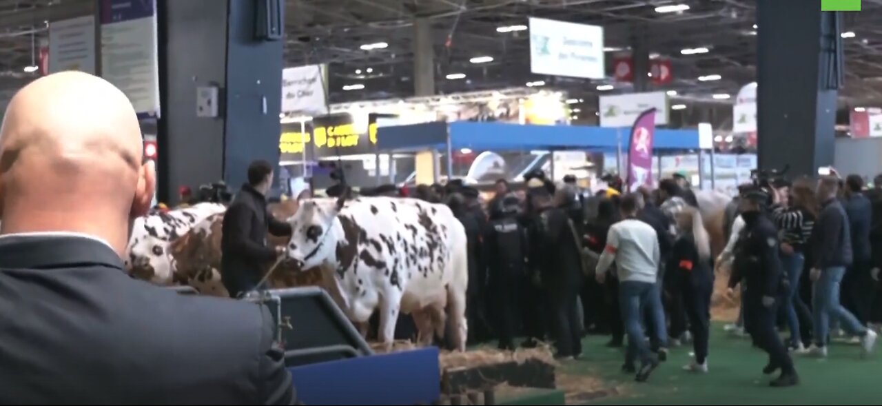 Farmers and police clash in Paris