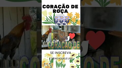 coração de roça #shorts