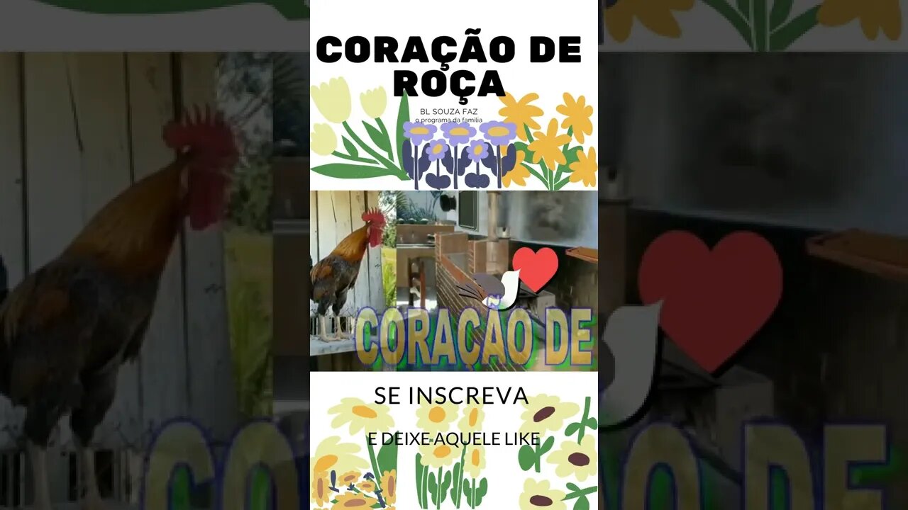 coração de roça #shorts