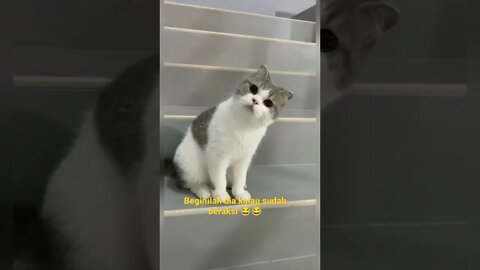 Gagahnya dia bikin klepek2 😂😂