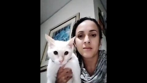 Hilarious Cat's Paws-tacular Adventure