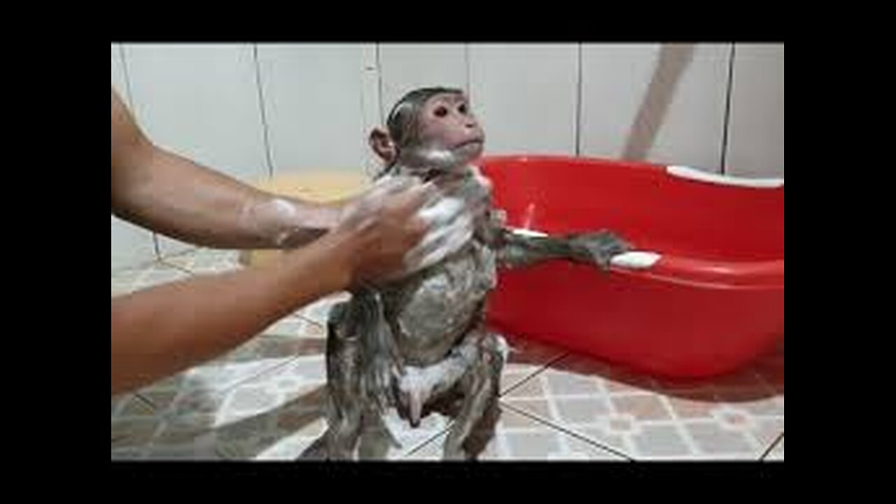 Bibi asked Dad to take a bath and get a massage