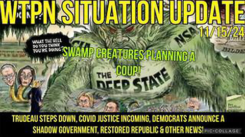 WTPN SIT/UP 11/15/24 DEMOCRAT COUP & SHADOW GOV., TRUDEAU STEPS DOWN, VT INTEL,