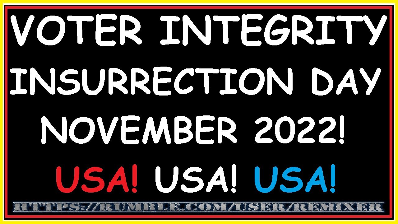 VOTER INTEGRITY INSURRECTION DAY NOVEMBER 2022!