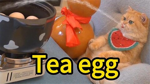 Kitten Gourmet - Tea egg