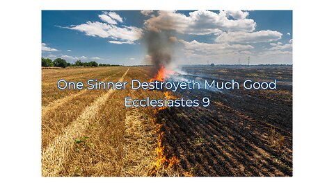 One Sinner Destroyeth Much Good - Pastor Jonathan Shelley | Stedfast Baptist Church