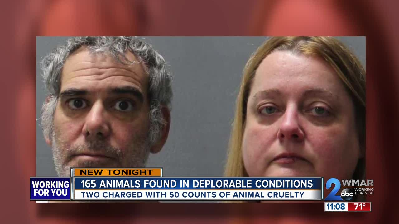 Two arrested for hoarding and abusing over 150 animals at Animal Welfare Society