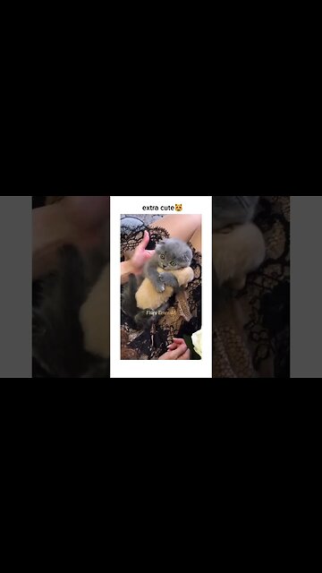 What a adorbale Couple 💗