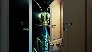 Encounter with Mantis Alien - Strange and Scary Stories