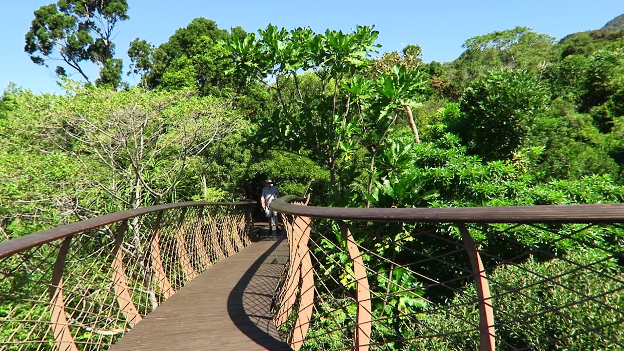 SOUTH AFRICA - Cape Town - Kirstenbosch National Botanical Garden (Video) (dTz)