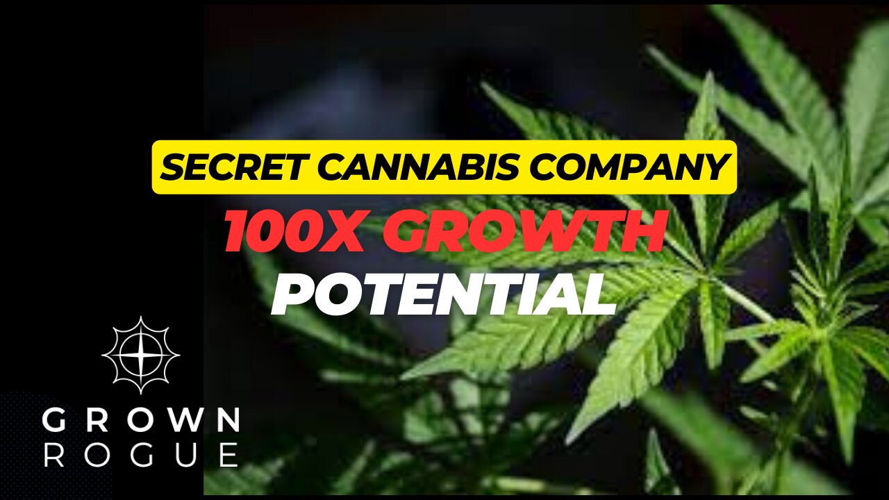 Analysing A New Cannabis Company With Huge Potential (Grown Rogue Expansion Plans & Big Upside)