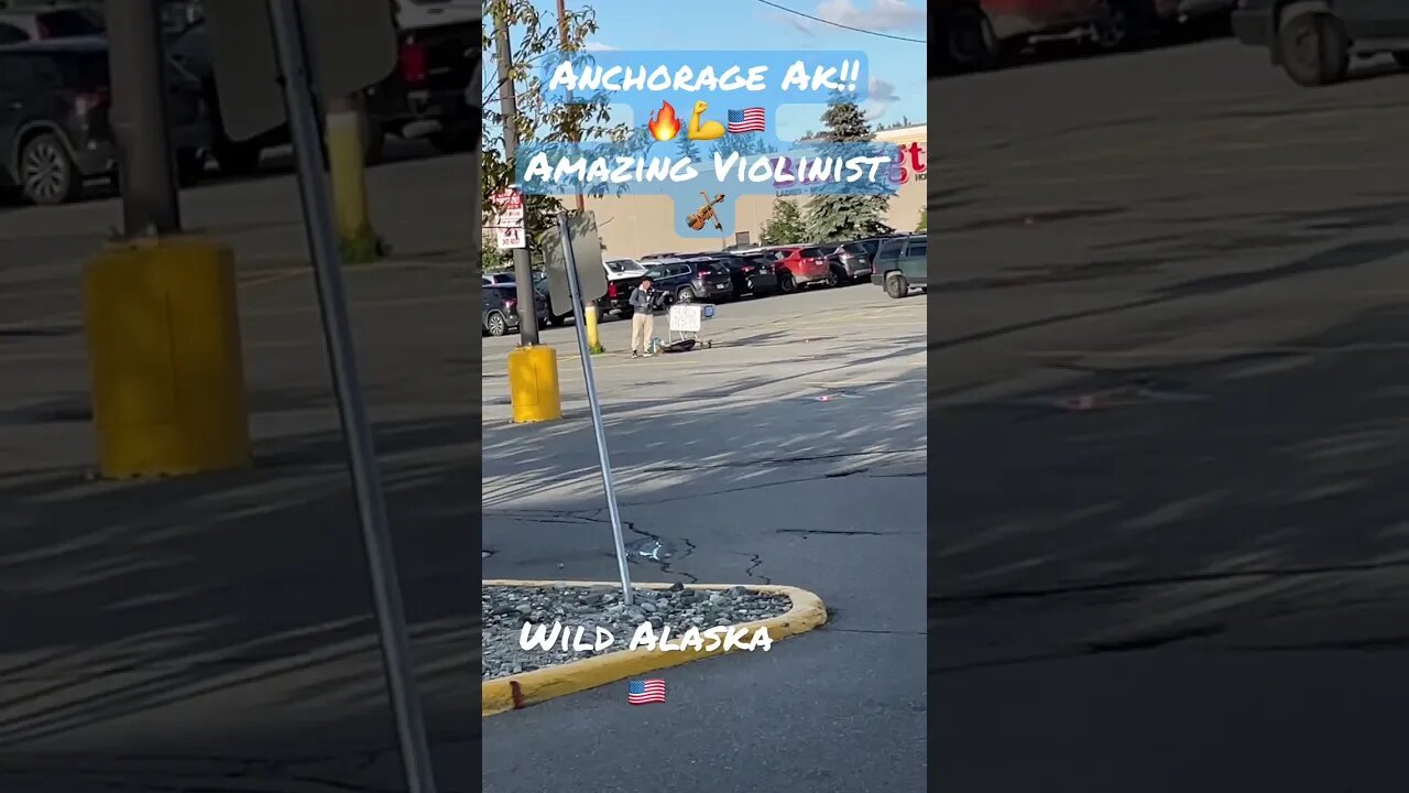 🎻Parking Lot Violinist~#shorts #alaska #music