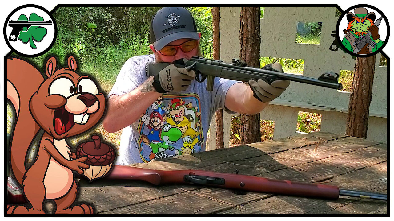 Squirrel Hunting On A Budget 22 Rifle Options