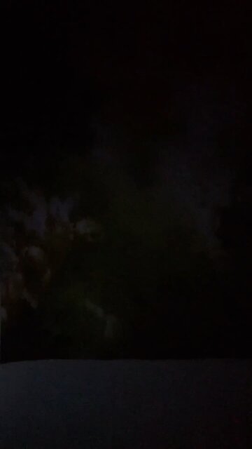 F with you until the day