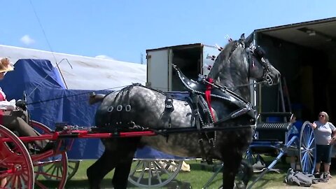 County Fair