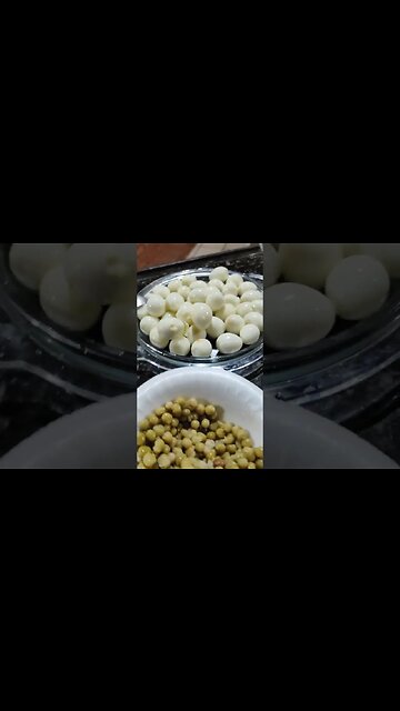 A ORGIA GASTRONÔMICA NÃO PÁRA! HORA DO HOT DOG! #botafogo #football #brasileirao