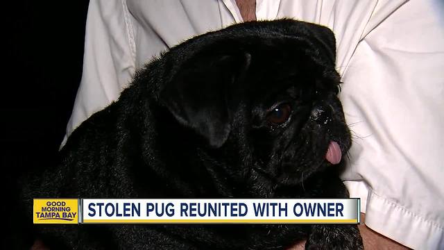 69-year-old reunited with beloved dog after he was stolen in his car from Tampa shopping center