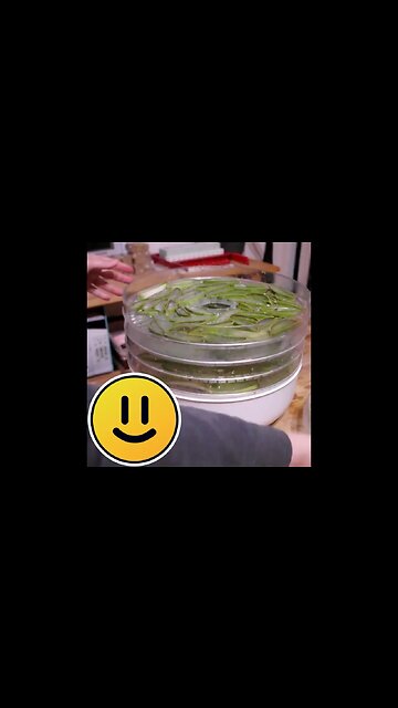 Making DIY Aloe Powder ~ Tips & Tricks for Soap & Cosmetic Making at Home