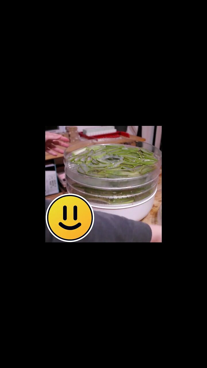 Making DIY Aloe Powder ~ Tips & Tricks for Soap & Cosmetic Making at Home