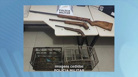 Denúncia anônima: 2 pássaros e 3 armas foram apreendidas na área rural de Coroaci.