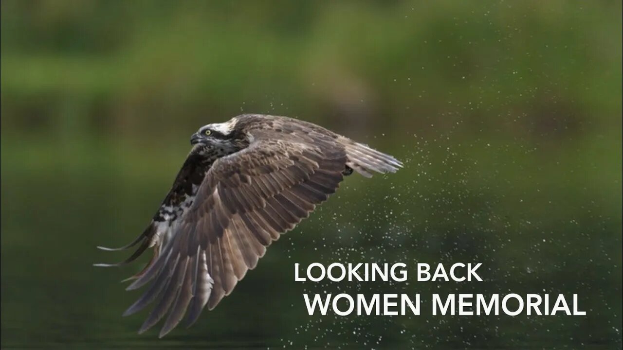 The Curse of Oak Island: Women's Memorial look Back -7/4/22
