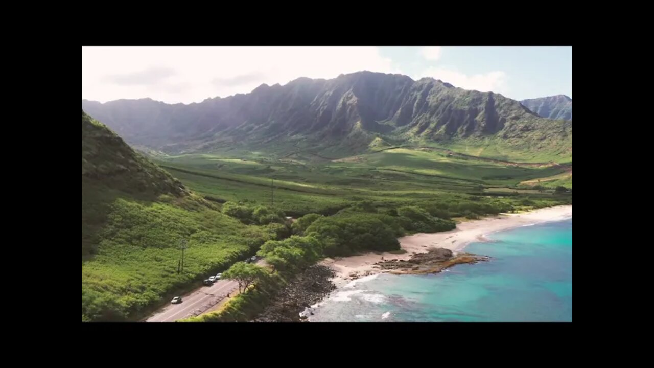 Lush Of Greens In The Seaside