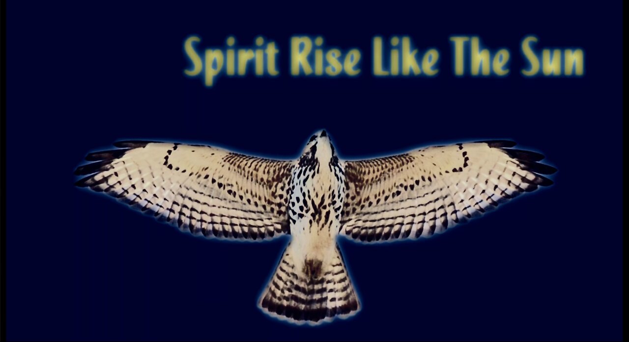 Song: Spirit Rise Like The Sun by Spicy Frost