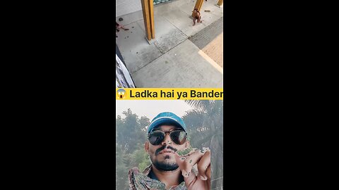 😱😱😱 Ladka hai ya Bandar