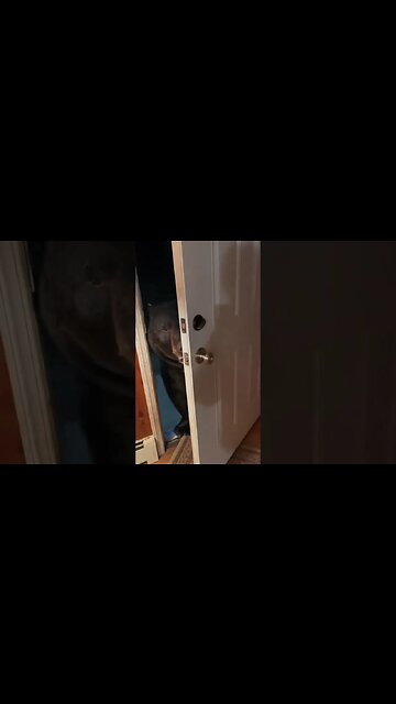 #freddyfazbear at my door!