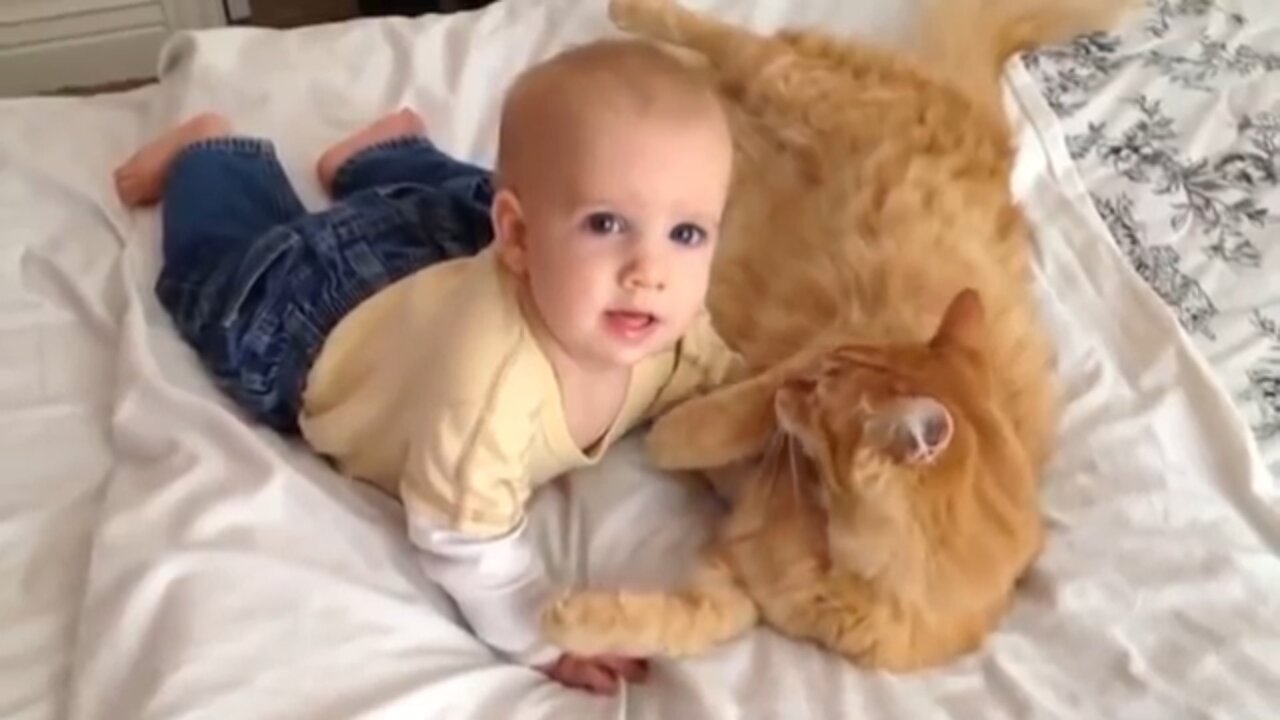 OMG!Cat🐈and baby🤵 fun 🤣 Part 1